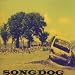 Songdog-Haiku