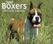 Just Boxers 2010 Box Calendar