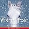 The Winter Pony