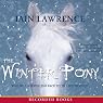 The Winter Pony