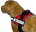 Service Dog in Training Vest - Adjustable No Pull Dog Harness with Patches. in Training Dog Vest for Service Dogs Small, Medium and Large Easy On/Off Dog in Training Harness for Service Dog Training
