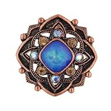 Sheltering Sky Ornate Medallion Brooch