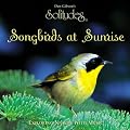 Songbirds at Sunrise