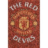 Manchester United - The Red Devils Poster Print, 24x36 Poster Print, 24x36
