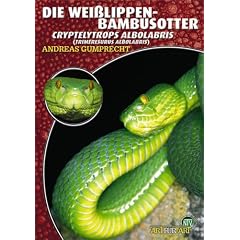 Die Wei�lippen-Bambusotter: Cryptelytrops albolabris (Trimeresurus albolabris)