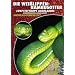 Die Wei�lippen-Bambusotter: Cryptelytrops albolabris (Trimeresurus albolabris)
