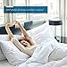 Cosy House Collection Everyday 1500 Series Pillowcases - Master Bedroom Essentials - Luxury Hotel Quality - Silky Soft & Smooth - Gentle & Skin Friendly - Set of 2 (King, Silver)