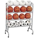 16 Ball Wide Body Ball Cart
