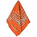 Multi-Purpose Bandana Western Cowboy Costume Party Headwear, Orange, Fabric, 20