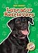 Labrador Retrievers (Blastoff! Readers Dog Breeds)