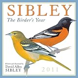 Cover for 'Sibley: The Birders Year 2011 Wall Calendar (Calendar)'