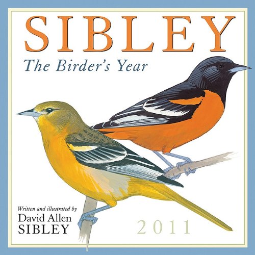 Sibley: The Birders Year Calendar (Calendar)