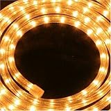 Christmas Lights Clear Rope Lights 9m Multi Action
