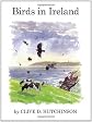 Birds in Ireland