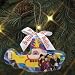 51d3MT26aBL. SL75  The Christmas Ornaments Sale in Online Stores