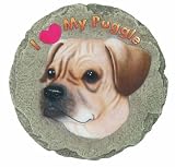 Puggle Stepping Stone