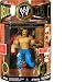 WWE Jakks Pacific Wrestling Exclusive Deluxe Classic Superstars Series 3 Action Figure Jake the Snake Roberts