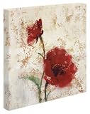 Simply Floral II by Tim O'Toole - Gallery Wrapped Giclee Canvas Art