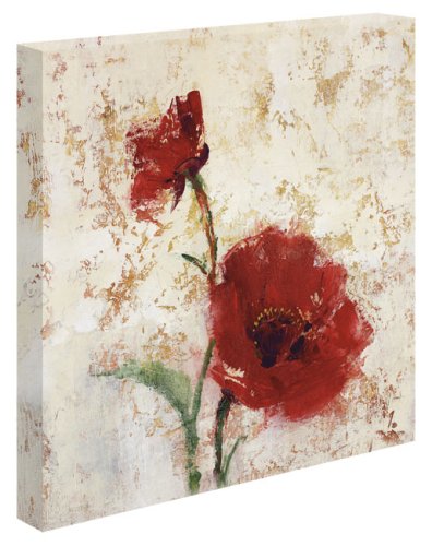 Simply Floral II by Tim O'Toole - Gallery Wrapped Giclee Canvas Art
