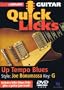 Bob Dylan Legendary Licks DVD