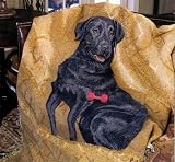 Black Lab Chenille Throw Blanket