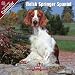 2009 Welsh Springer Spaniel Wall Calendar
