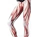 Ensasa Women's Graphic Printed Slim Pants Workout Tights Leggings, Flesh, Medium