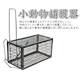 ���i�̏ڍ�