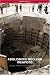 Abolishing Nuclear Weapons (Adelphi series)