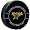 Dallas Stars