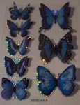 3D Butterfly Fly Stickers , Art & Cra...