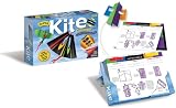 Mini Kite-a-Day: Fold & Fly It!: 2009 Day-to-Day Calendar