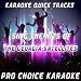 Karaoke Quick Tracks - Sing the Hits of The Georgia Satellites (Karaoke Version) (Originally Performed By The Georgia Satellites)