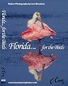 Florida for the Birds