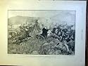 CATTLE ENEMY NATAL AFRICA BOER WAR SCOTT PRINT 1900