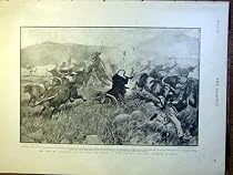 CATTLE ENEMY NATAL AFRICA BOER WAR SCOTT PRINT 1900
