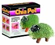 Chia Pet Handmade Decorative Planter, Puppy, 1 Kit