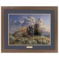 Distant Thunder Bison Framed Art