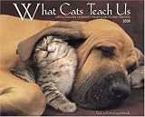 What Cats Teach Us 2008 Calendar