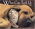 What Cats Teach Us 2008 Calendar