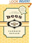 Bees: Nature's Little Wonders