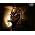 Vignette de Mushroomhead
