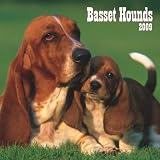 Basset Hounds 2009 Square Wall Calendar