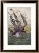 Kraken Attacks a Sailing Vessel Framed Art Poster Print by Denys De Montfort, 24x32