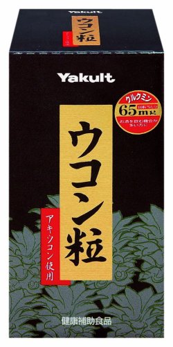 ウコン粒 約300粒