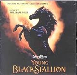  : Young Black Stallion