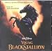 Search : Young Black Stallion