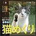 2011年　カミンカレンダー　猫めくり（猫と出会える365日）スタンド付パッケージ入り