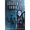 Indulge in YA Urban Fantasy  Part 2