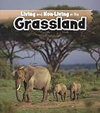 Living and non-living in the grasslands